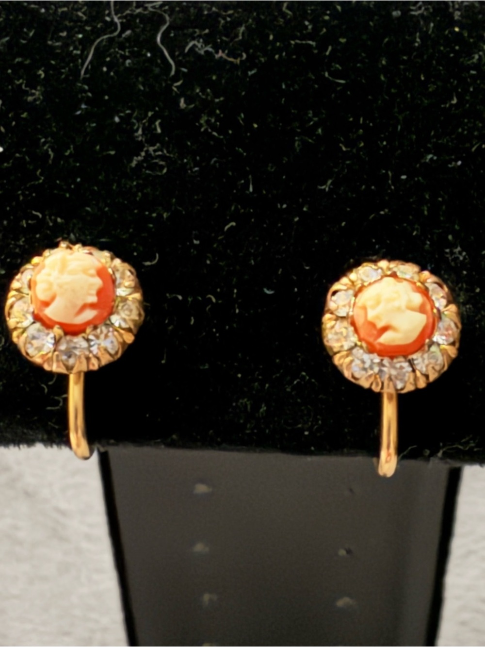 VTG Anson Jewelry 1/20 12k Gold Filled Cameo Screw Back Earrings
